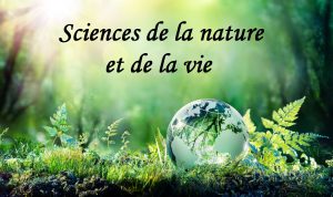 Journées de sensibilisation pour la présentation des filières et des spécialités habilitées au niveau de la faculté