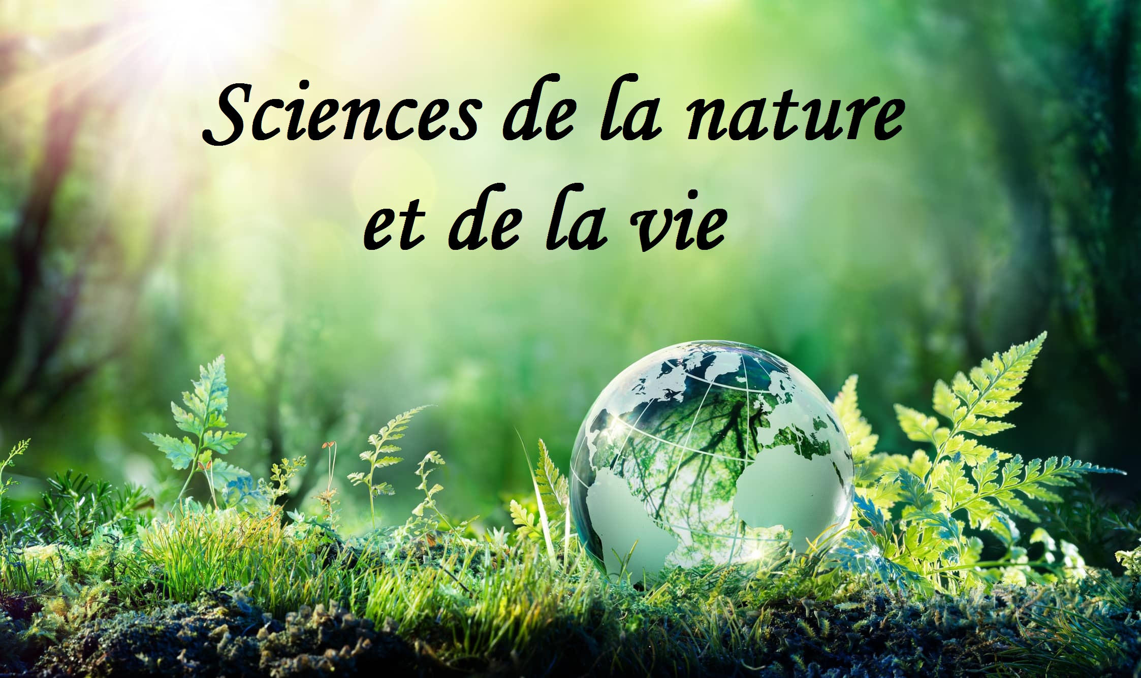 Journées de sensibilisation pour la présentation des filières et des spécialités habilitées au niveau de la faculté