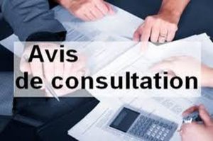 Consultation N:17/2026